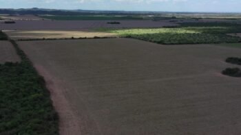 Córdoba El Rodeo 41 ha