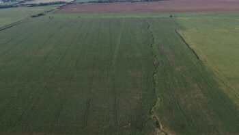 Córdoba Los surgentes 62 ha agrícolas