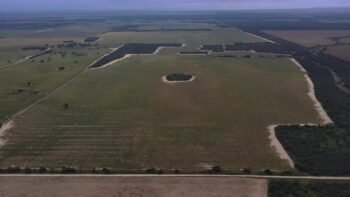 San Luis Coronel Alzogaray 337 ha agrícolas