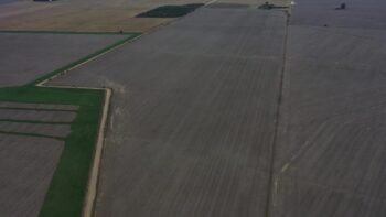 Córdoba Monte Ralo 100 ha campazo Muy bueno