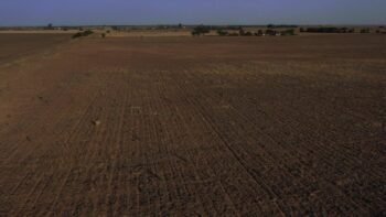 Córdoba Ruta 36 32 ha agrícolas