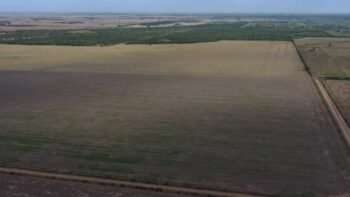 Córdoba Maquinista Gallini 160 ha 100% agrícolas