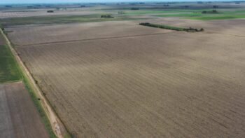 Córdoba Adelia Maria 113 ha agrícolas