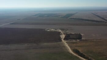 Santiago del Estero Lavalle 1.200 ha agrícolas