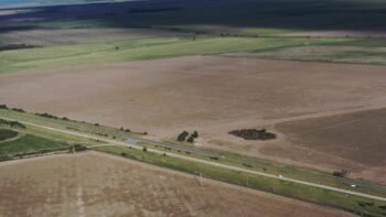 San Luis Naschel 390 ha