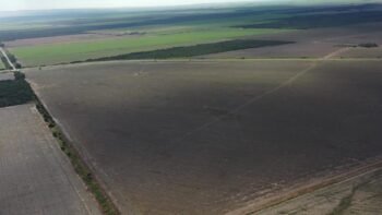 San Luis Naschel 190 ha