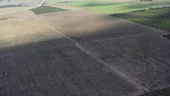 San Luis Naschel 200 ha