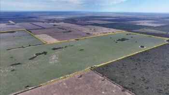 Córdoba La Puerta Obispo Trejo 500 ha Mixtas