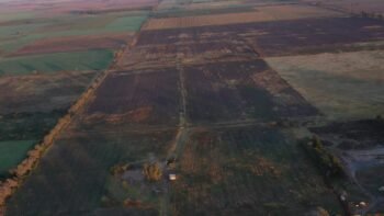 La Pampa Realicó 185 ha agrícolas