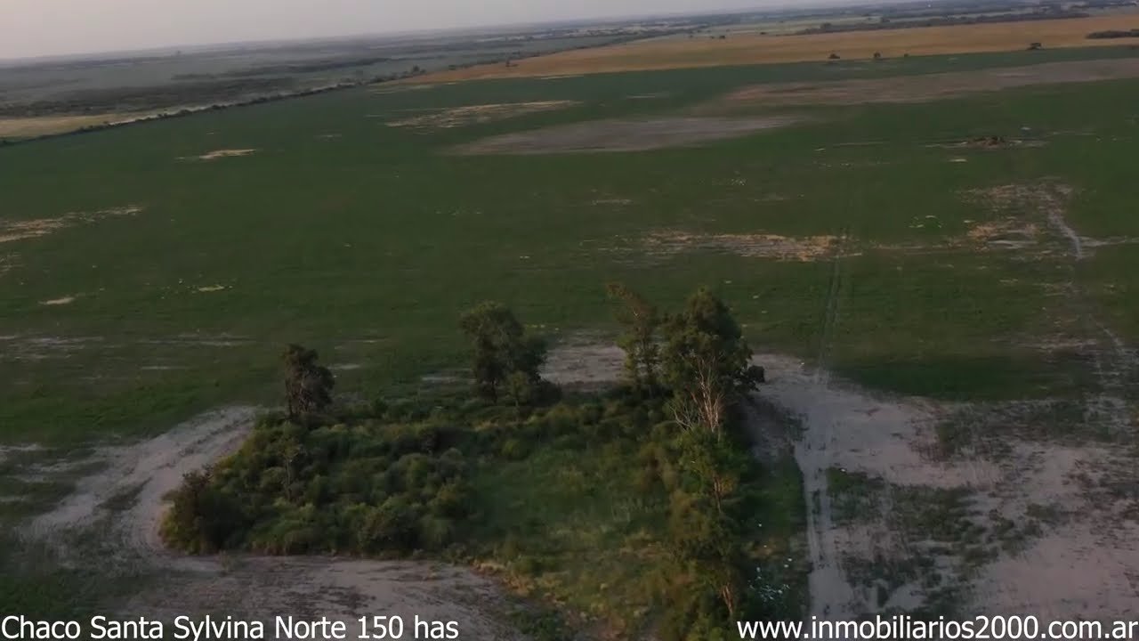Chaco Norte Santa Sylvina 150 ha agricolas 3