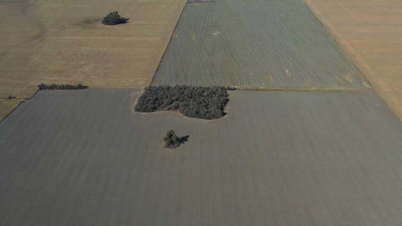 Matorrales Costa Sacate 120 ha