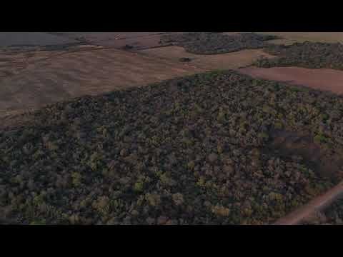 Roque Saenz Pena 294 ha