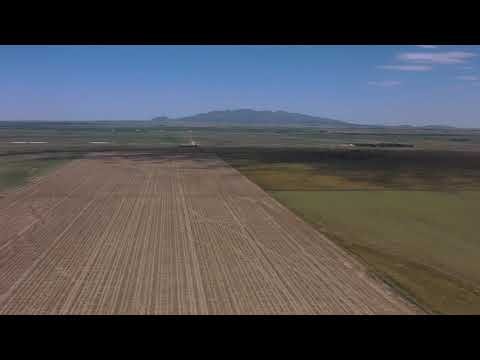 San Luis Naschel 160 ha agricolas